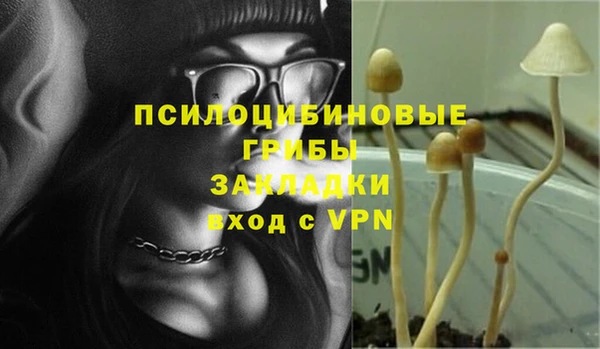 дживик Алзамай