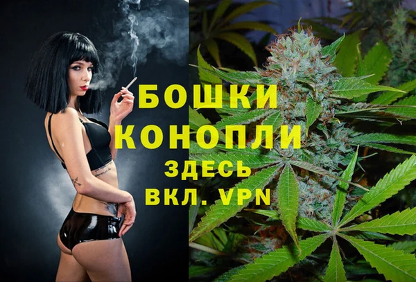 ПСИЛОЦИБИНОВЫЕ ГРИБЫ Коряжма